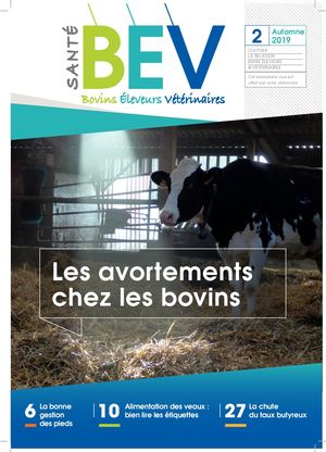 Santé Bev 2 et 3 sont sortis !